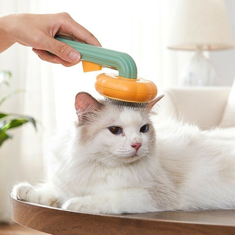 The Pumpkin Pet Grooming Brush with Pop-out Self Cleaning Technology